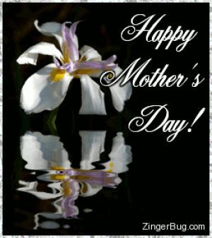 mothers day,facebook,twitter,comments,greetings,codes,mothers
