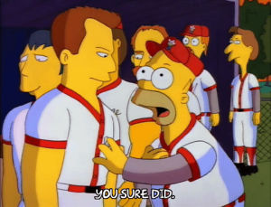 season 3,homer simpson,sports,episode 17,yes,3x17,did,you did,half pipe