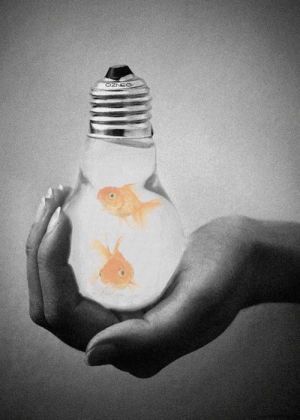 surreal,fish,lightbulb,trippy