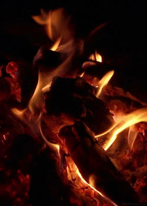 fire,campfire,calm