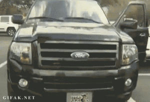 soon,ford,owl stuck in grill,pickup truck,animals,owl,truck,blink