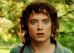 The lord of the rings frodo fellowship of the ring GIF - Find on GIFER
