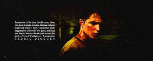 cedric diggory,harry potter,harry potter challenge