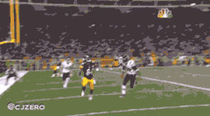 pittsburgh steelers,antonio brown,nfl sunday,one handed catch,sang kim,cleopold