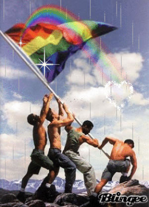 flag,rainbow flag,rainbow,picture