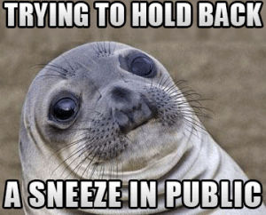sneezing,sneeze,advice animals