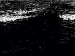 black and white,water,nature,ocean,own,aninated