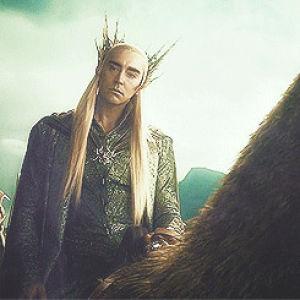 lee pace,thranduil,movies,the hobbit,blonde,mystuff,lord of the rings,elf,richard armitage,thorin oakenshield,rider