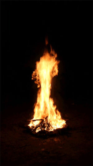 fire,bonfire,firewood,warm,black,red,sticks,warmth