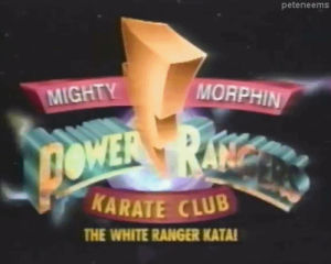 mighty mohin power rangers,power rangers,90s,karate,martial arts,mmpr,kata