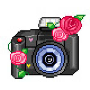 flowers,flower,transparent,photography,kawaii,pixel,graphics,adorable,post,camera,shot,twinkling