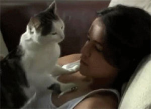 michelle rodriguez,cat,celebrities,cats,made by me,mrod