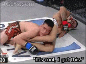 sports,mma,i got this,armbar,not a single fuck was given,armlock
