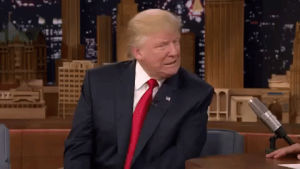 GIF jimmy fallon donald trump tonight show - animated GIF on GIFER