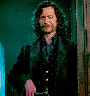 GIF sirius black - animated GIF on GIFER