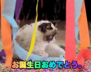 otanjoubi omedetou,cat,japan,happy birthday