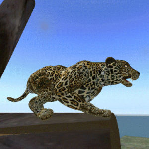 Jaguar Gif Find On Gifer