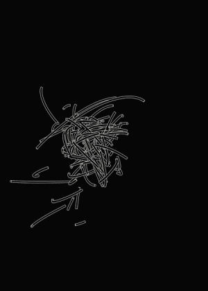 digital,chaos,disorder,particles,after effects,test,james zanoni,animation,black and white,cinema4d