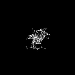 perfect loop,black and white,processing,creative coding,animation,p5art