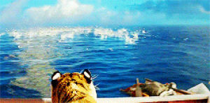 life of pi,movies,i love it so much,this is like my favorite movie now