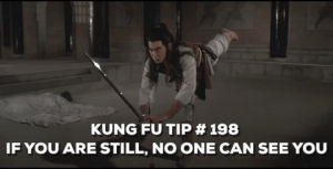 kung fu,martial arts,tips,shaw brothers,shaolin intruders