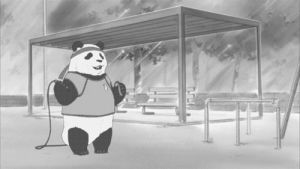 anime,cat,chuck testa,panda exercise