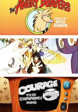 courage the cowardly dog,angry beavers,sailor moon