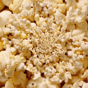 popcorn,pop corn,box office,netflix,movie,movies,food,pop,cinema,theatre,theater,vortex,corn,pops,flick,konczakowski,blockbuster,corny,flicks,blockbusters,popped,maize,box office bomb