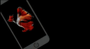 iphone,news,cool,tech,set,apple,fish,technology,ios,virtual boy,plumed