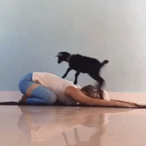 Yoga GIF - Encontrar em GIFER