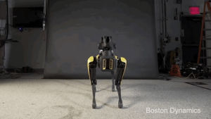 robot,boston dynamics,dance,robot dance,dancing,robotics,spot,robot dog