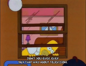 season 3,homer simpson,television,episode 12,angry,window,yelling,3x12,scolding