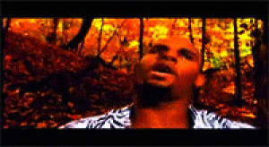 R. Kelly - I Believe I Can Fly animated gif