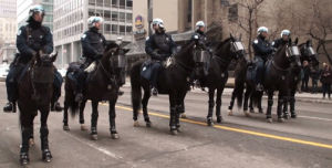 horse,horses,mounted policemen,riot horses