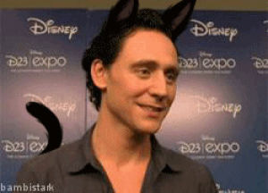 tom hiddleston,kitty