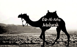 eid al adha,eid,graphics,comments,myspace,greetings,orkut,codes,tagged,friendster,adha,sonny chiba