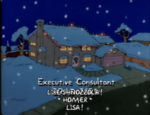 season 1,christmas,episode 1,1x01,snowing,simpsons house