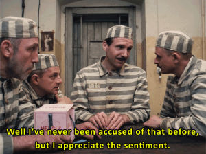 wes anderson,the grand budapest hotel,ralph fiennes