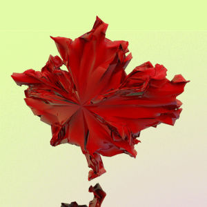 canada,maple leaf,love,party,holiday,canada day,art design