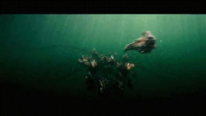 piranha 3d,piranha,richard dreyfuss,movie review