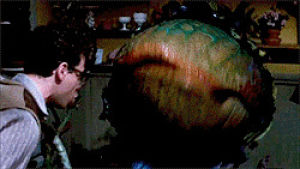 little shop of horrors,feed me seymore,movies,audrey,rick moranis