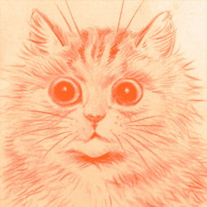 cat,illustration,drawing,kitten,cat drawing,valet parking