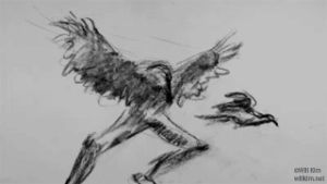 art,art in motion,black and white,illustration,artists on tumblr,birds,charcoal,human bird,ns