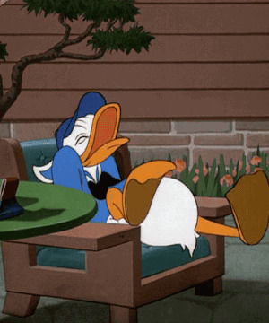 laughing,reaction,disney,laughter,donald duck,bad seeds