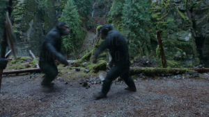 war for the planet of the apes,planet of the apes,hug,review