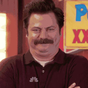 parks and recreation,tv,laughing,tv show,parks and rec,ron swanson,parks,mature,parks and recreations,maturity