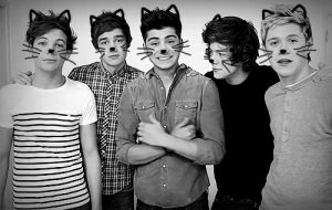 one direction,love,cat,life,inspiration