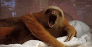 tired,sloth,yawning