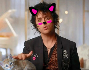 billie joe armstrong,music,kitty,punk,grunge,alternative,idiot,green day,rock n roll,punk rock,love him,american idiot,idiot nation,too punk for you