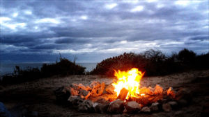 clouds,ocean,night,trees,timelapse,evening,beach,wood,nature,fire,outdoors,campfire,campfire song